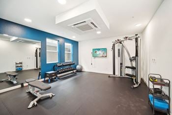 Free weights